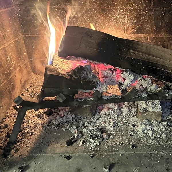 Record cold has fireplaces working overtime. Should those ashes be put to use in the garden?