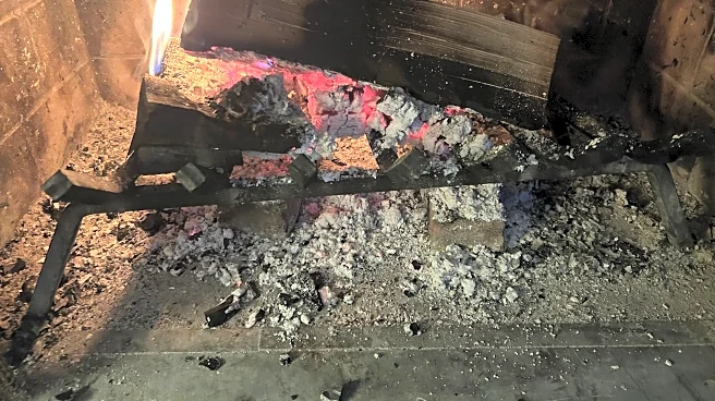 Record cold has fireplaces working overtime. Should those ashes be put to use in the garden?