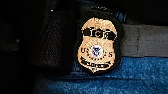 Takeaways from AP's review of recent criminal cases against ICE employees and contractors