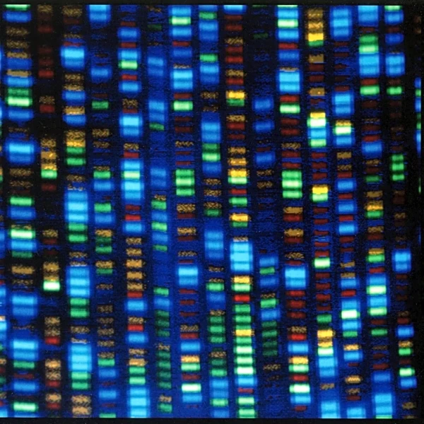 Studies test whether gene-editing can fix high cholesterol. For now, take your medicine