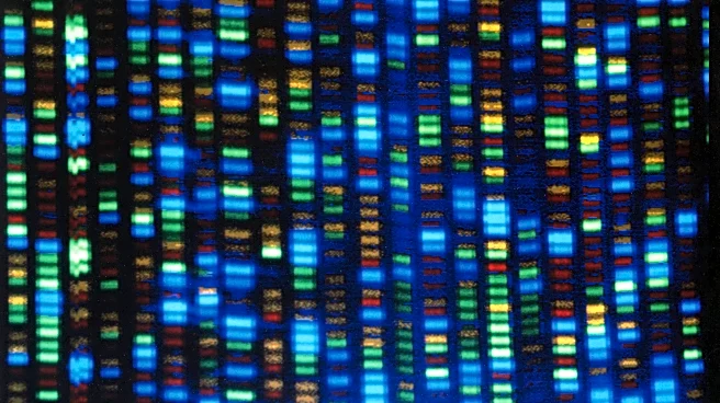 Studies test whether gene-editing can fix high cholesterol. For now, take your medicine