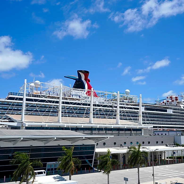 What to know about the investigation into a teen's death on a cruise ship
