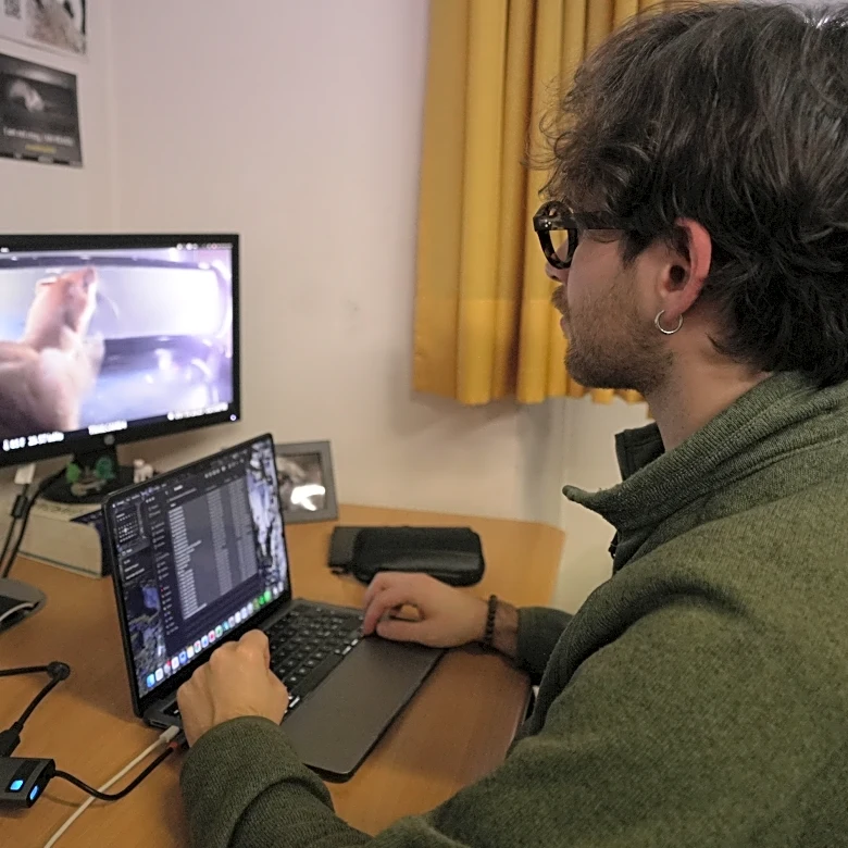 In real life, the Olympic mascot is a weasel-like animal at risk because of climate change