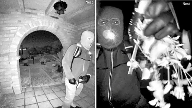 Chilling images from Nancy Guthrie's porch could hold valuable clues about the masked suspect