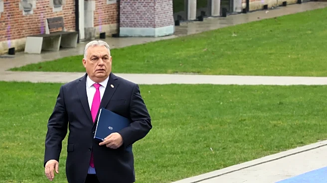 Orbán says the EU and not Russia is Hungary's real threat ahead of April vote