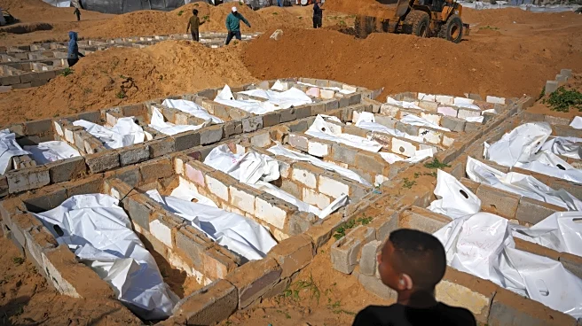 MSF suspends some hospital operations in Gaza due to presence of armed men