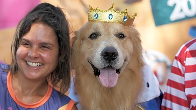 Rio Carnival street party dogs parade as humans protest against pet killers