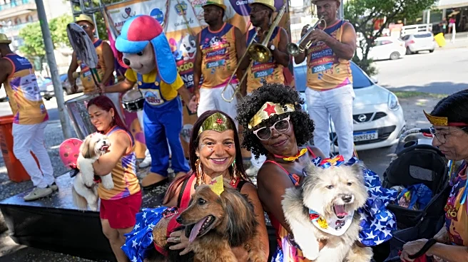 Dogs parade at Rio Carnival as their owners protest against animal cruelty