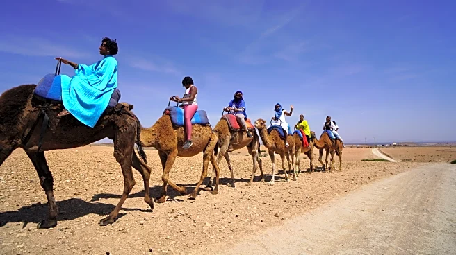 Whether it's a mini-sabbatical or an adult gap year, more people are taking extended work breaks