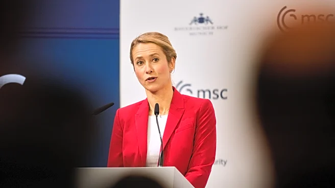 Europeans push back at US over claim they face 'civilizational erasure'