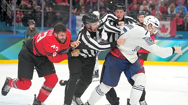 Tom Wilson fights in Canada's game vs. France at the Olympics