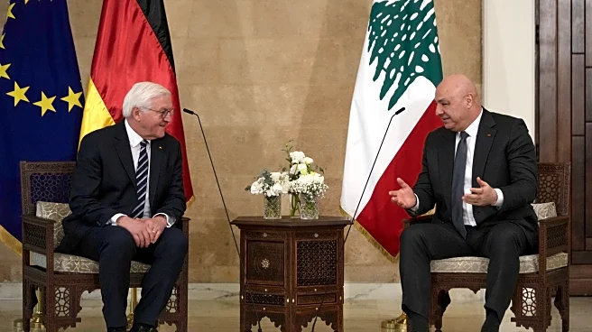 Germany will keep supporting Lebanon after UN peacekeepers leave, the German president says