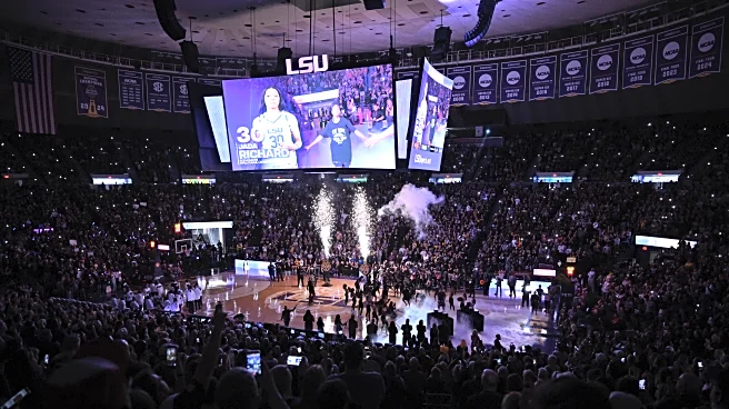 LSU unveils jersey patches, experts weigh in on new revenue stream for athletic departments