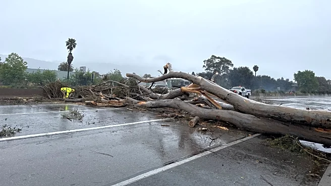 California walloped by winter storm with high winds and heavy rain and snow