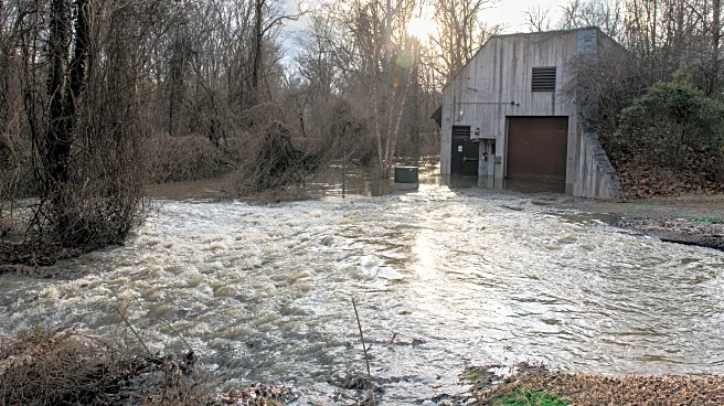 Trump and Maryland governor Wes Moore battle over Potomac River sewage spill response