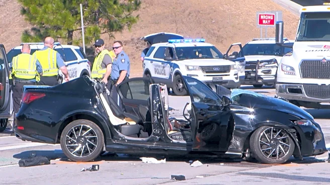 Driver fleeing ICE officers crashes, killing a Georgia teacher, authorities say