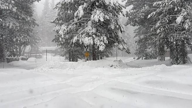 Crews search for backcountry skiers after avalanche reported in California mountains