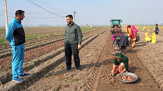 From automated farm tractors to exam paper grading, AI boosts efficiency for some in India