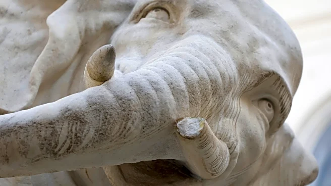 Police on the case: How Rome's beloved Bernini elephant sculpture lost the tip of its tusk — again