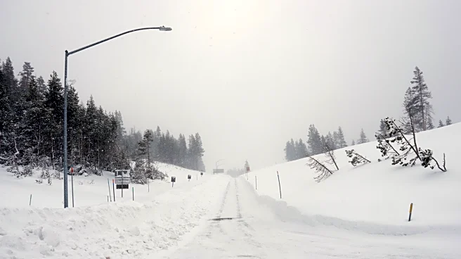 Snow drought helped set the stage for deadly California avalanche, leading to unstable conditions