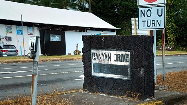 Hilo’s beloved Banyan Drive is in ruins. Could a new agency save it?