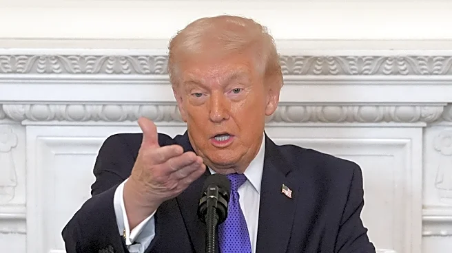 Trump's made tariffs central to his presidency. Chaos may come next