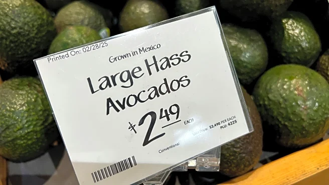 Global leaders and businesses pore over fallout of more US tariff swoons