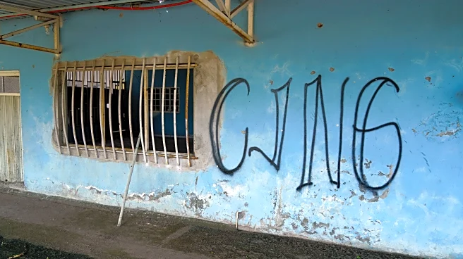 Mexican army kills leader of Jalisco New Generation Cartel, official says