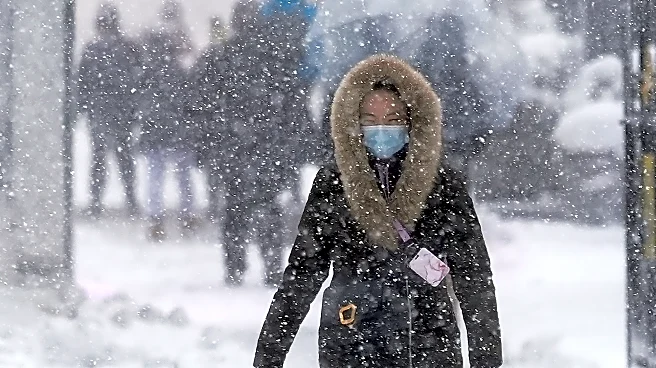 Millions are stuck at home due to blizzard warnings and travel shutdowns in northeastern US