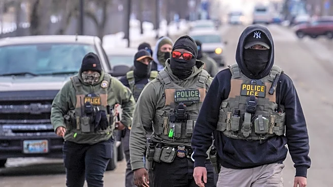 ICE officer training is 'deficient' and 'broken,' former agency lawyer tells congressional forum