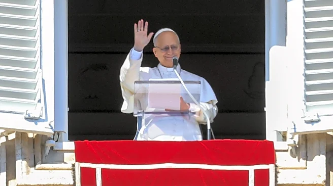 Pope Leo will visit 4 African countries as part of his packed 2026 travel plan