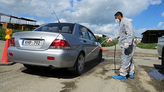 Cyprus plans mass livestock vaccination to halt spread of foot-and-mouth disease