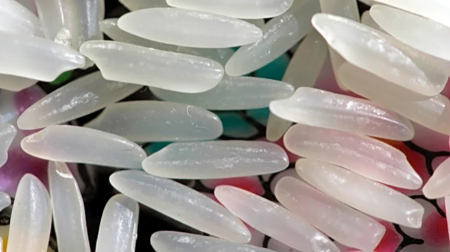 If you're struggling to lose weight, could chilling your carbs help?