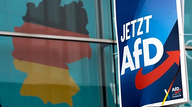 German court says intelligence agency can't designate the AfD party an extremist group for now