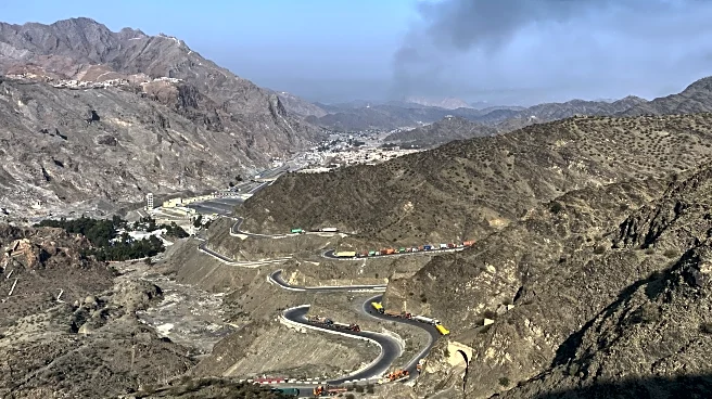 Pakistan's president defends ongoing strikes in Afghanistan and urges Kabul to dismantle militants