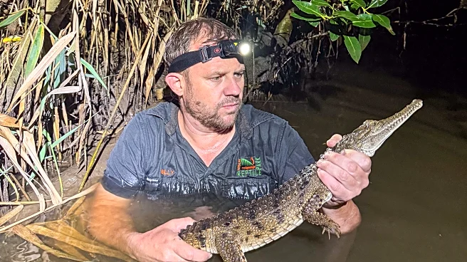 Crocodile caught in an Australian creek 1,200 miles from its tropical habitat