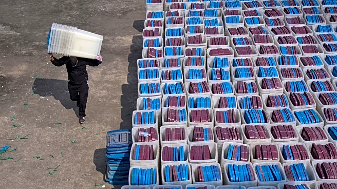 Some key figures about Nepal’s parliamentary election