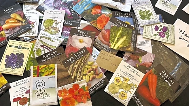A glossary to help cut through seed-packet jargon and confidently plant indoors