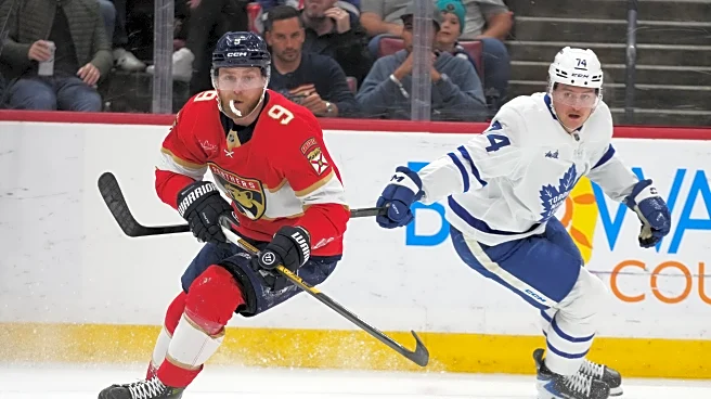 Panthers and Maple Leafs are trade deadline sellers with the playoffs likely out of reach