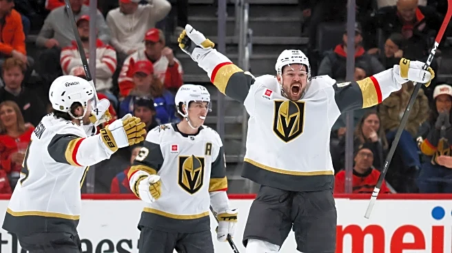 Hertl scores in OT to cap Vegas rally in 4-3 victory over Red Wings