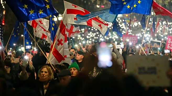 EU suspends visa-free travel for Georgian diplomats and officials over democratic backsliding