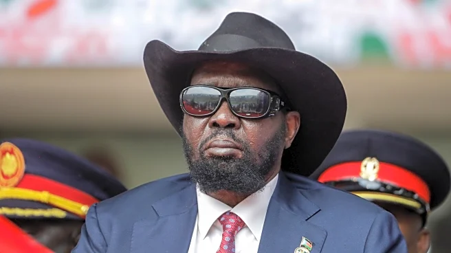 UN report says Ugandan troops helped South Sudan with deadly airstrikes