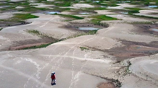 Heat waves that spark damaging droughts are happening more frequently, study finds