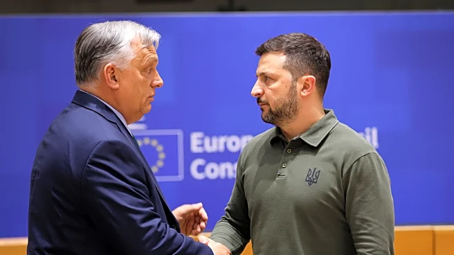 Hungary temporarily detains 7 Ukrainians and seizes $80 million cash shipment, angering Kyiv