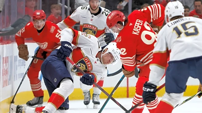 Matthew Tkachuk has hat trick, Panthers beat Red Wings 3-1 to end 4-game losing streak