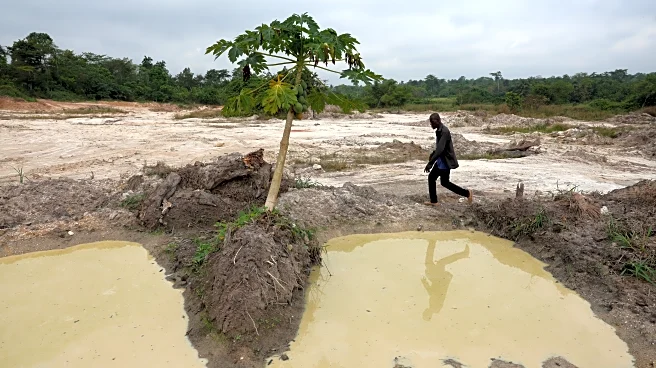 Cocoa beans rot and West African farmers seek other options after commodity crash