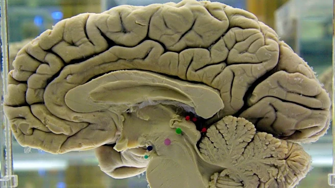 Challenging your brain helps keep it healthy. Here's how to do it