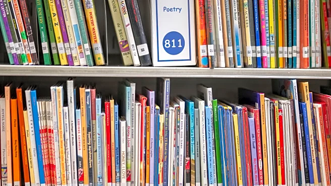 Young kids missed the pandemic's school disruptions. Their reading scores are still behind