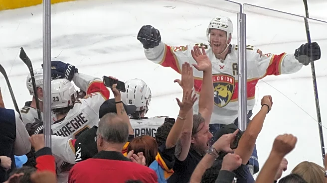 Carter Verhaeghe scores 2 late goals, rallying Panthers to 4-3 win over Red Wings