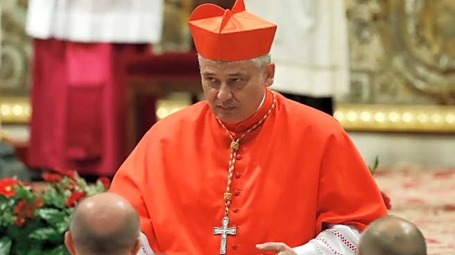 Pope appoints trusted fellow Augustinian to run Vatican's charity office